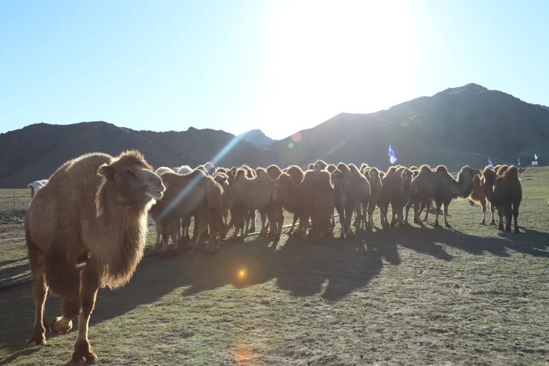 微信图片_20241210150250.jpg